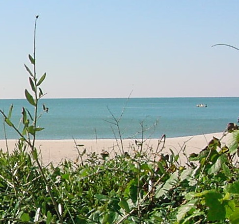 ocean and beach at Caswell Beach and Oak Island NC